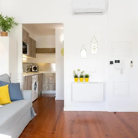 Cozy And Bright 1bdr Flat In Typical Neighborhood!